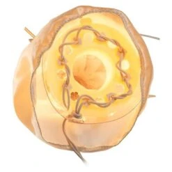 Kurt S. Adler Christmas Tree Topper (00082) -Kurt S. Adler 000826md