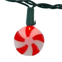 Kurt S. Adler LED String Set (31636) -Kurt S. Adler 316362md